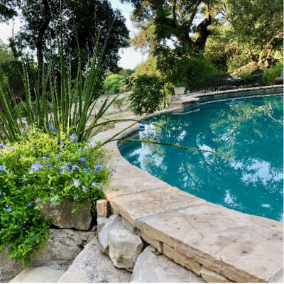 Backyard Oasis by Oasis of the Desert Pools & Spas